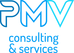 PMV Consulting logo picto